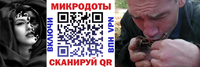 Псилоцибиновые грибы Magic Shrooms как найти наркотики Шебекино